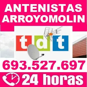 Antenistas Arroyomolinos